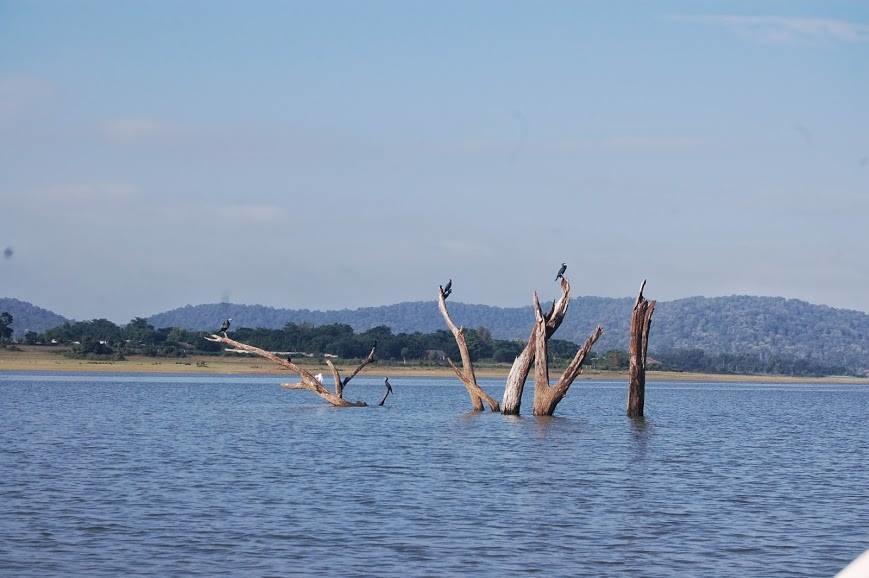 Отель The Peepal Tree, Kabini Begur Экстерьер фото