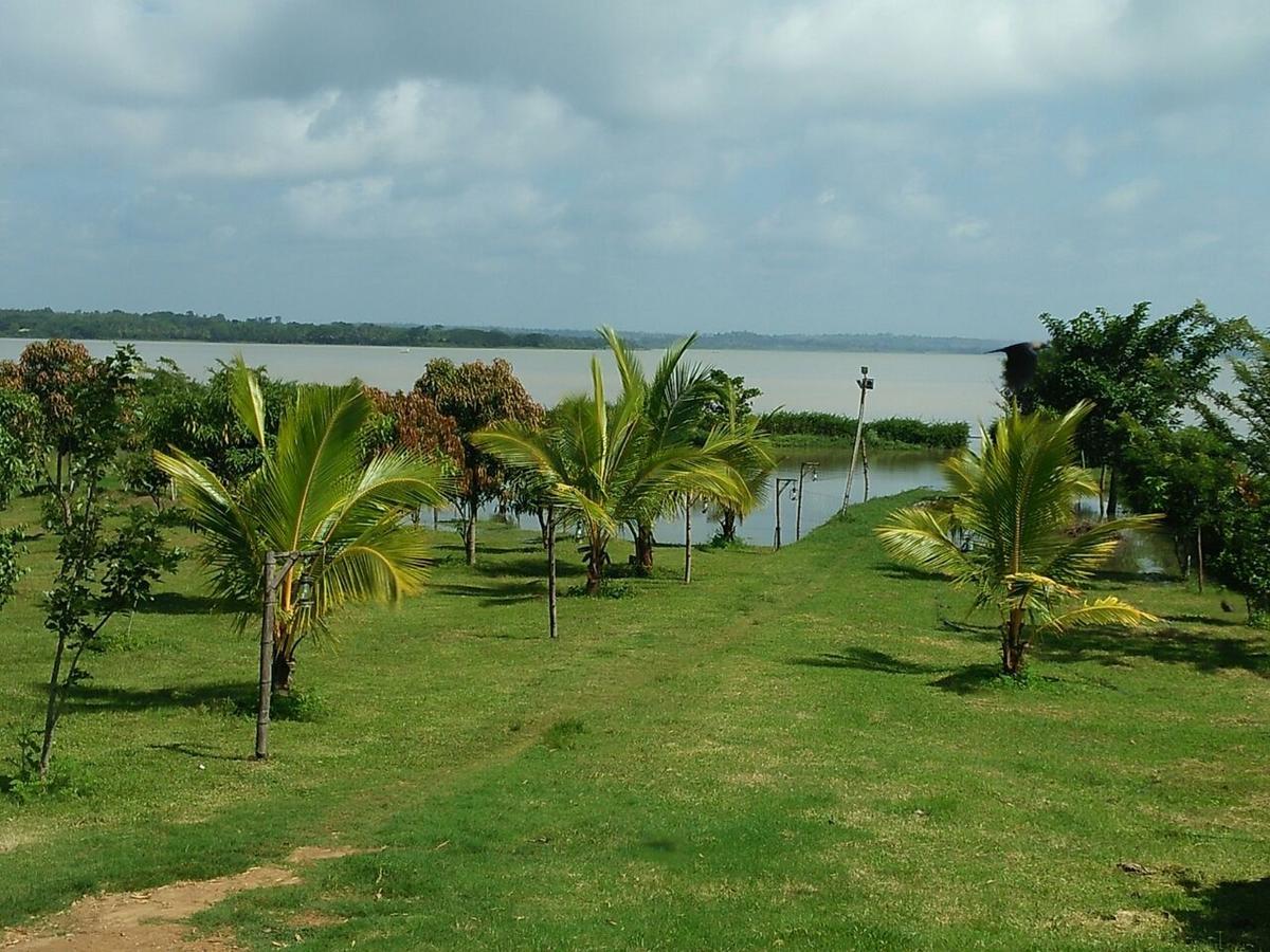 Отель The Peepal Tree, Kabini Begur Экстерьер фото