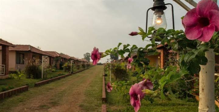 Отель The Peepal Tree, Kabini Begur Экстерьер фото